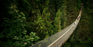 Vancouver - Vancouver City Tour &amp; Capilano Bridge