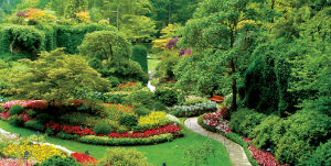 Victoria - Deluxe Victoria City, Craigdarroch Castle &amp; Butchart Gardens Tour