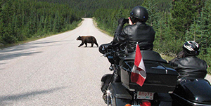 Jasper - Side-car