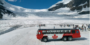 Jasper - Excursie op de gletsjer Athabasca