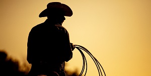 Talkin' Texas